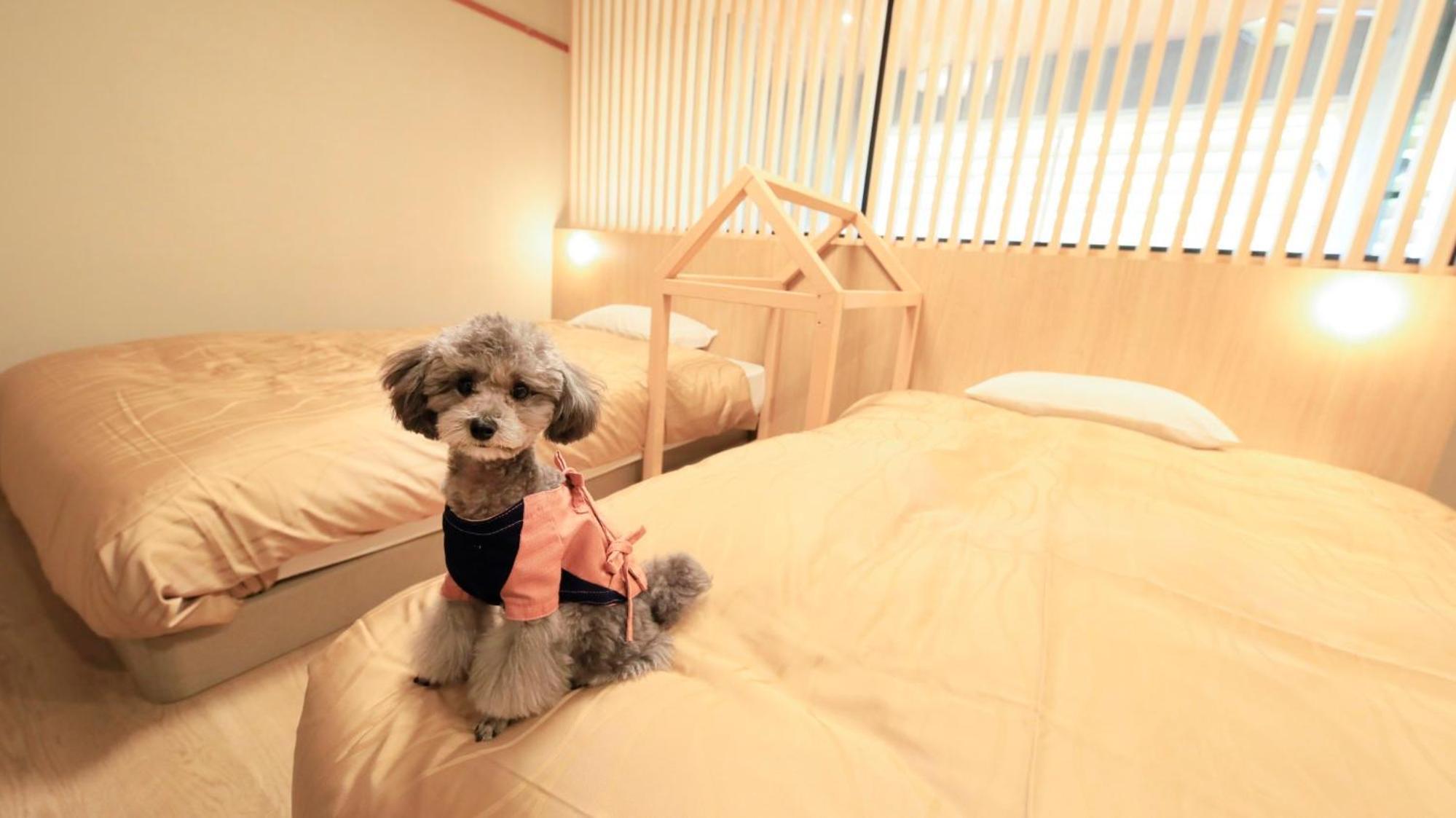 Yururi Nishiizu Hotel Izu  Eksteriør billede